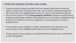 Cementum in Dentistry | PPTX