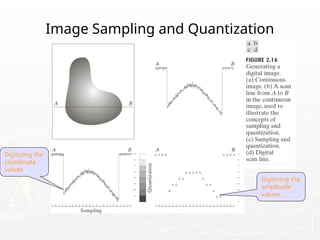 Image Sampling and Quantization
Digitizing the
coordinate
values
Digitizing the
amplitude
values
 