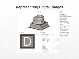 Representing Digital Images
 