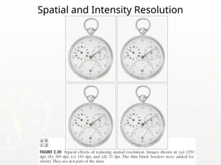 Spatial and Intensity Resolution
 