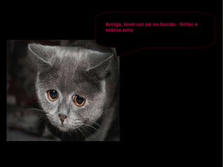 Amiga, levei um pé na bunda.  Voltei a estaca zero . 