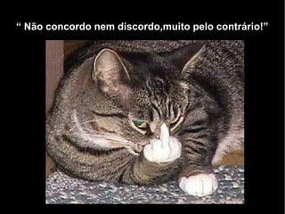 “  Não concordo nem discordo,muito pelo contrário!” 