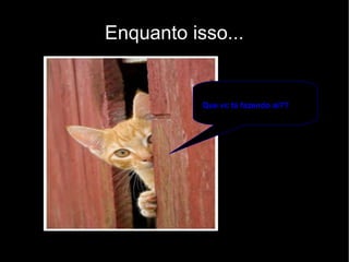 Enquanto isso... Que vc tá fazendo ai?? 