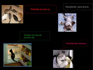 Vendo um site de óculos aki. Estudando  para prova. Trabalhando demais . Falando só com vc . 