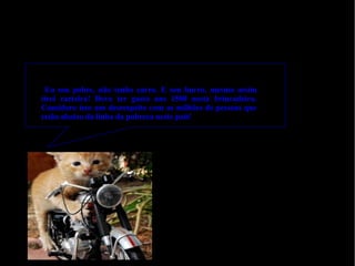 Eu sou pobre, não tenho carro. E sou burro, mesmo assim tirei carteira! Devo ter gasto uns 1500 nesta brincadeira. Considero isso um desrespeito com as milhões de pessoas que estão abaixo da linha da pobreza neste pais! 