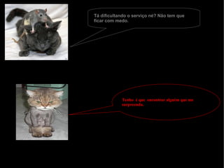 Tenho  é que  encontrar alguém que me surpreenda. Tá dificultando o serviço né? Não tem que ficar com medo. 