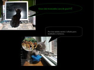 Esses sim tremendos cara de pau!!!! ! Por isso minha mente é afiada para maldades e torturas. 