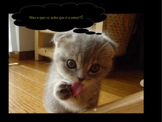 Mas o que vc acha que é o amor? ! 