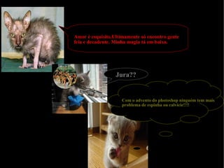 Amor é esquisito.Ultimamente só encontro gente feia e decadente. Minha magia tá em baixa. Jura?? Com o advento do photoshop ninguém tem mais problema de espinha ou calvície!!!! 