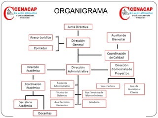 ORGANIGRAMA
 