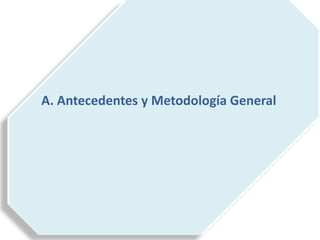 A. Antecedentes y Metodología General
 