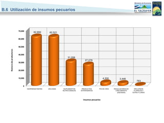 B.6 Utilización de insumos pecuarios




                            70,000
                                           62,892       62,521

                            60,000



                            50,000
    Número de productores




                            40,000
                                                                     31,056
                                                                                     27,078
                            30,000



                            20,000



                            10,000                                                                     4,200         3,446
                                                                                                                                     783

                                0
                                     DESPARASITANTES   VACUNAS    SUPLEMENTOS     PRODUCTOS       PIE DE CRÍA   REGULADORES DE    RECURSOS
                                                                 NUTRICIONALES   VETERINARIOS                     CRECIMIENTO     FLORALES Y
                                                                                                                   (ENZIMAS)     EXTRA FLORES



                                                                                   Insumos pecuarios
 