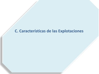 C. Características de las Explotaciones
 
