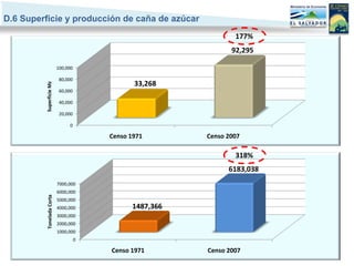 D.6 Superficie y producción de caña de azúcar
                                                                  177%
                                                                 92,295

                           100,000

                            80,000
                                                33,268
          Superficie Mz




                            60,000

                            40,000

                            20,000

                                0

                                         Censo 1971       Censo 2007

                                                                  318%
                                                                6183,038
                           7000,000
                           6000,000
          Tonelada Corta




                           5000,000
                           4000,000            1487,366
                           3000,000
                           2000,000
                           1000,000
                                     0

                                         Censo 1971       Censo 2007
 
