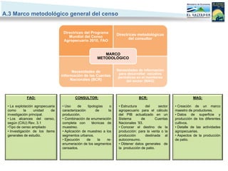 A.3 Marco metodológico general del censo


                                  Directrices del Programa
                                                                    Directrices metodológicas
                                     Mundial del Censo
                                                                           del consultor
                                  Agropecuario 2010, FAO


                                                          MARCO
                                                       METODOLÓGICO


                                       Necesidades de               Necesidades de información
                                                                     para desarrollar estudios
                                 información de las Cuentas          periódicos en el monitoreo
                                      Nacionales (BCR)                    del sector (MAG)



            FAO:                         CONSULTOR:                              BCR:                             MAG:

 • La explotación agropecuaria   • Uso     de     tipologías    o    • Estructura     del     sector   • Creación de un marco
 como       la    unidad   de    caracterización        de     la    agropecuario para el cálculo      maestro de productores.
 investigación principal.        producción.                         del PIB actualizado en un         • Datos de superficie y
 • Los alcances del censo,       • Combinación de enumeración        Sistema       de       Cuentas    producción de los diferentes
 según (CIIU) Rev. 3.1           completa con        técnicas de     Nacionales ´93.                   cultivos.
 •Tipo de censo ampliado         muestreo.                           • Conocer el destino de la        • Detalle de las actividades
 • Investigación de los ítems    • Aplicación de muestreo a los      producción: para la venta o la    agropecuarias.
 generales de estudio.           segmentos urbanos.                  producción       destinada al     • Aspectos de la producción
                                 • Ejecución     de      la   re-    autoconsumo.                      de patio.
                                 enumeración de los segmentos        • Obtener datos generales de
                                 censados.                           la producción de patio.
 