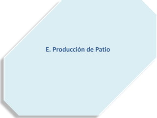 E. Producción de Patio
 