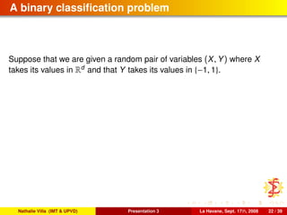 A binary classiﬁcation problem
Suppose that we are given a random pair of variables (X, Y) where X
takes its values in Rd
and that Y takes its values in {−1, 1}.
Nathalie Villa (IMT & UPVD) Presentation 3 La Havane, Sept. 17th, 2008 22 / 39
 