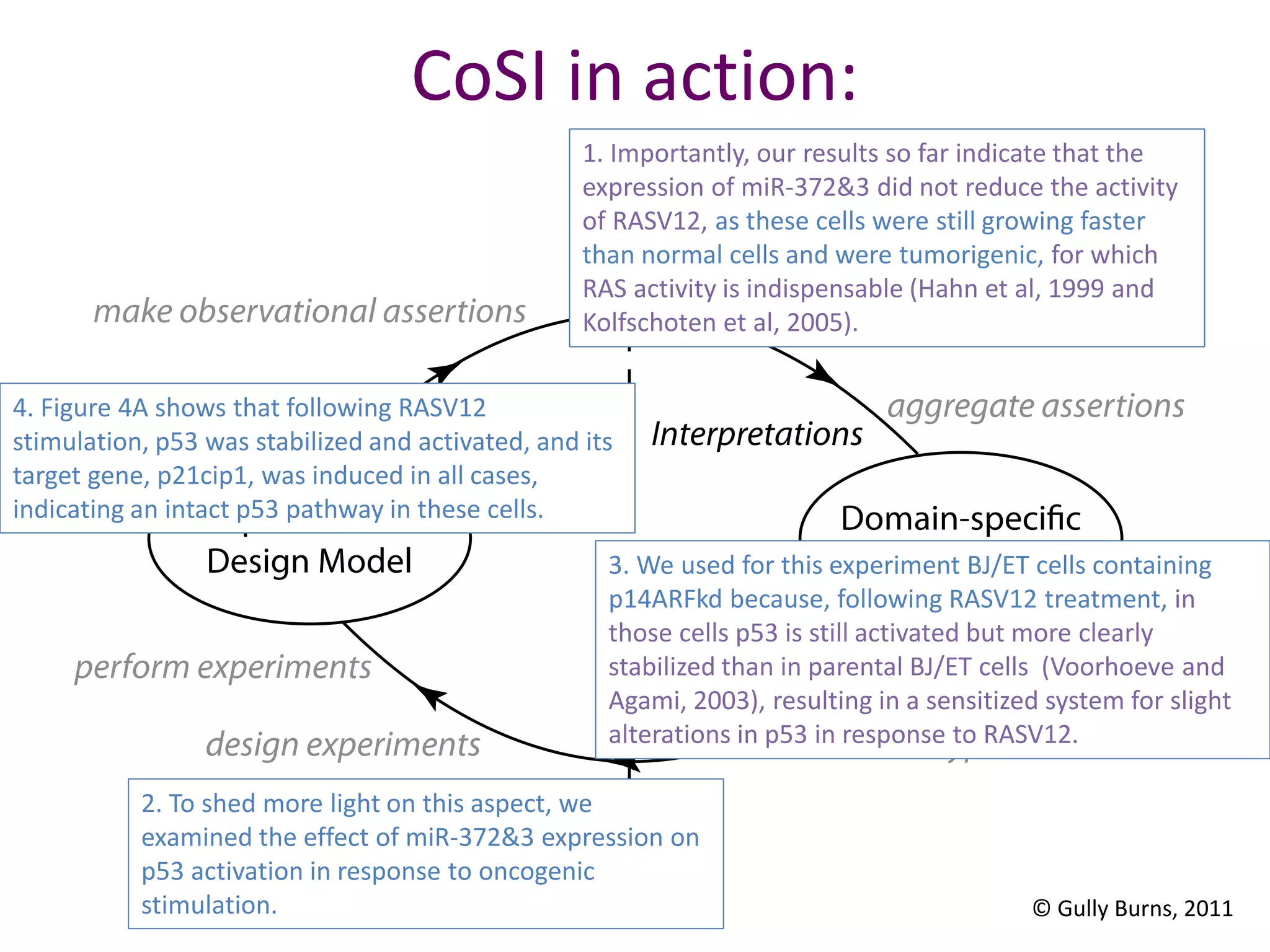 CoSI in action:
© Gully Burns, 2011
3. We used for this experiment BJ/ET cells containing
p14ARFkd because, following RASV12 treatment, in
those cells p53 is still activated but more clearly
stabilized than in parental BJ/ET cells (Voorhoeve and
Agami, 2003), resulting in a sensitized system for slight
alterations in p53 in response to RASV12.
1. Importantly, our results so far indicate that the
expression of miR-372&3 did not reduce the activity
of RASV12, as these cells were still growing faster
than normal cells and were tumorigenic, for which
RAS activity is indispensable (Hahn et al, 1999 and
Kolfschoten et al, 2005).
2. To shed more light on this aspect, we
examined the effect of miR-372&3 expression on
p53 activation in response to oncogenic
stimulation.
4. Figure 4A shows that following RASV12
stimulation, p53 was stabilized and activated, and its
target gene, p21cip1, was induced in all cases,
indicating an intact p53 pathway in these cells.
 