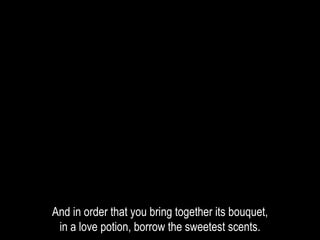 And in order that you bring together its bouquet,
in a love potion, borrow the sweetest scents.
 