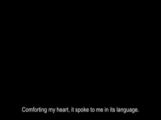 Comforting my heart, it spoke to me in its language.
 