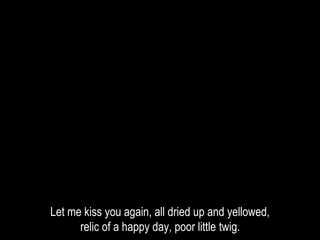Let me kiss you again, all dried up and yellowed,
relic of a happy day, poor little twig.
 