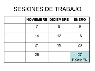 SESIONES DE TRABAJO 27 EXAMEN 28 23 19 21 16 12 14 9 5 7 ENERO DICIEMBRE NOVIEMBRE