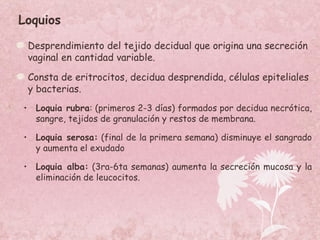 Loquios Desprendimiento del tejido decidual que origina una secreción vaginal en cantidad variable. Consta de eritrocitos, decidua desprendida, células epiteliales y bacterias. Loquia rubra : (primeros 2-3 días) formados por decidua necrótica, sangre, tejidos de granulación y restos de membrana. Loquia serosa:  (final de la primera semana) disminuye el sangrado y aumenta el exudado Loquia alba:  (3ra-6ta semanas) aumenta la secreción mucosa y la eliminación de leucocitos. 