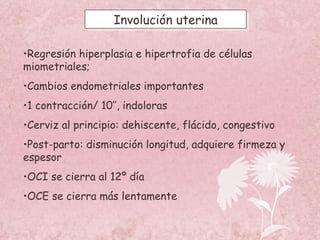 Involución uterina Regresión hiperplasia e hipertrofia de células miometriales; Cambios endometriales importantes 1 contracción/ 10’’, indoloras Cerviz al principio: dehiscente, flácido, congestivo Post-parto: disminución longitud, adquiere firmeza y espesor OCI se cierra al 12º día OCE se cierra más lentamente 