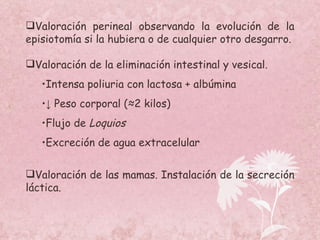 Valoración perineal observando la evolución de la episiotomía si la hubiera o de cualquier otro desgarro. Valoración de la eliminación intestinal y vesical. Intensa poliuria con lactosa + albúmina ↓  Peso corporal (≈2 kilos) Flujo de  Loquios Excreción de agua extracelular Valoración de las mamas. Instalación de la secreción láctica. 