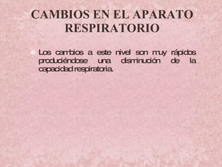 CAMBIOS EN EL APARATO RESPIRATORIO Los cambios a este nivel son muy rápidos produciéndose una disminución de la capacidad respiratoria. 