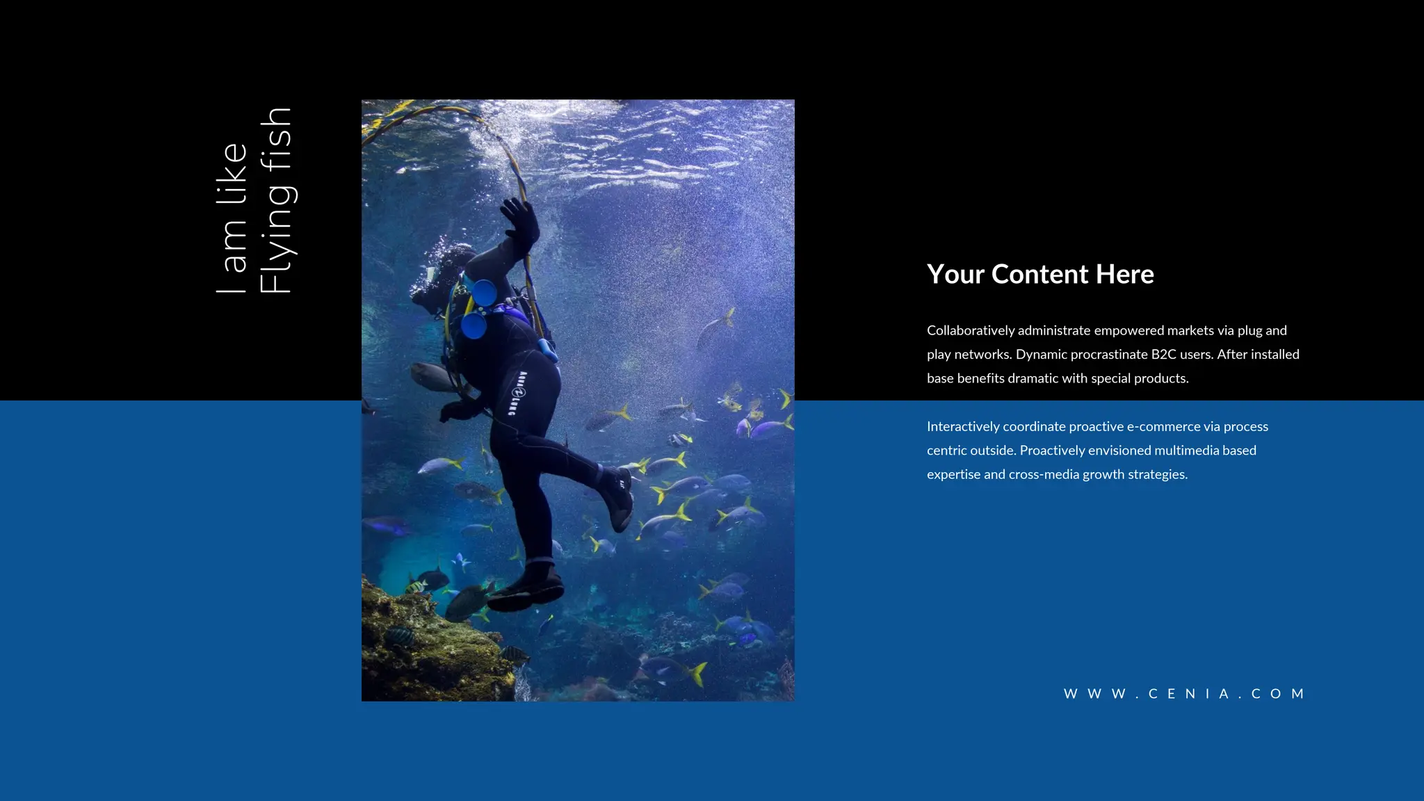 I
am
like
Flying
fish
W W W . C E N I A . C O M
Collaboratively administrate empowered markets via plug and
play networks. Dynamic procrastinate B2C users. After installed
base benefits dramatic with special products.
Interactively coordinate proactive e-commerce via process
centric outside. Proactively envisioned multimedia based
expertise and cross-media growth strategies.
Your Content Here
 