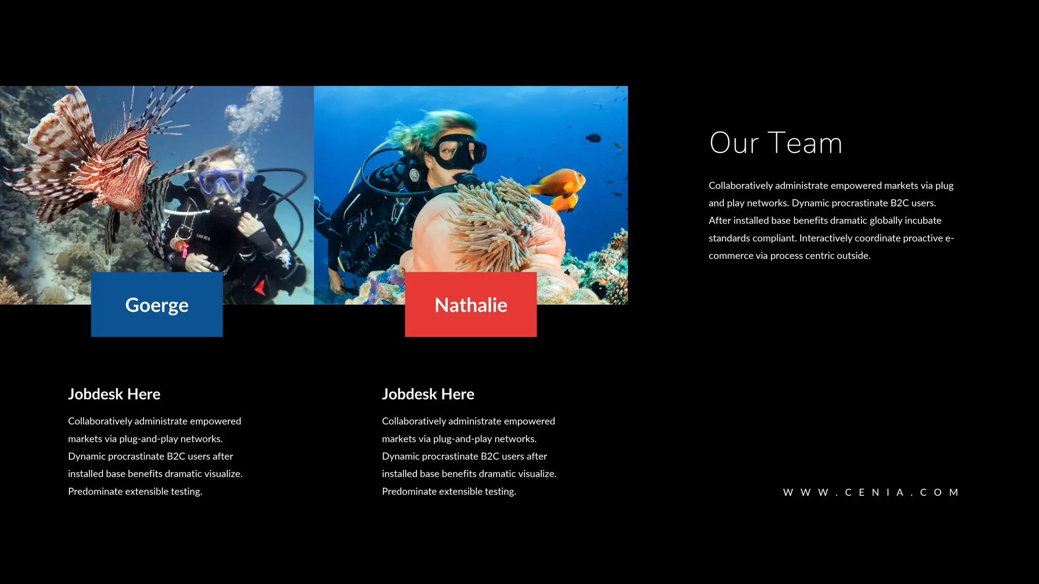 Nathalie
Goerge
Collaboratively administrate empowered
markets via plug-and-play networks.
Dynamic procrastinate B2C users after
installed base benefits dramatic visualize.
Predominate extensible testing.
Jobdesk Here
Collaboratively administrate empowered
markets via plug-and-play networks.
Dynamic procrastinate B2C users after
installed base benefits dramatic visualize.
Predominate extensible testing.
Jobdesk Here
W W W . C E N I A . C O M
Our Team
Collaboratively administrate empowered markets via plug
and play networks. Dynamic procrastinate B2C users.
After installed base benefits dramatic globally incubate
standards compliant. Interactively coordinate proactive e-
commerce via process centric outside.
 