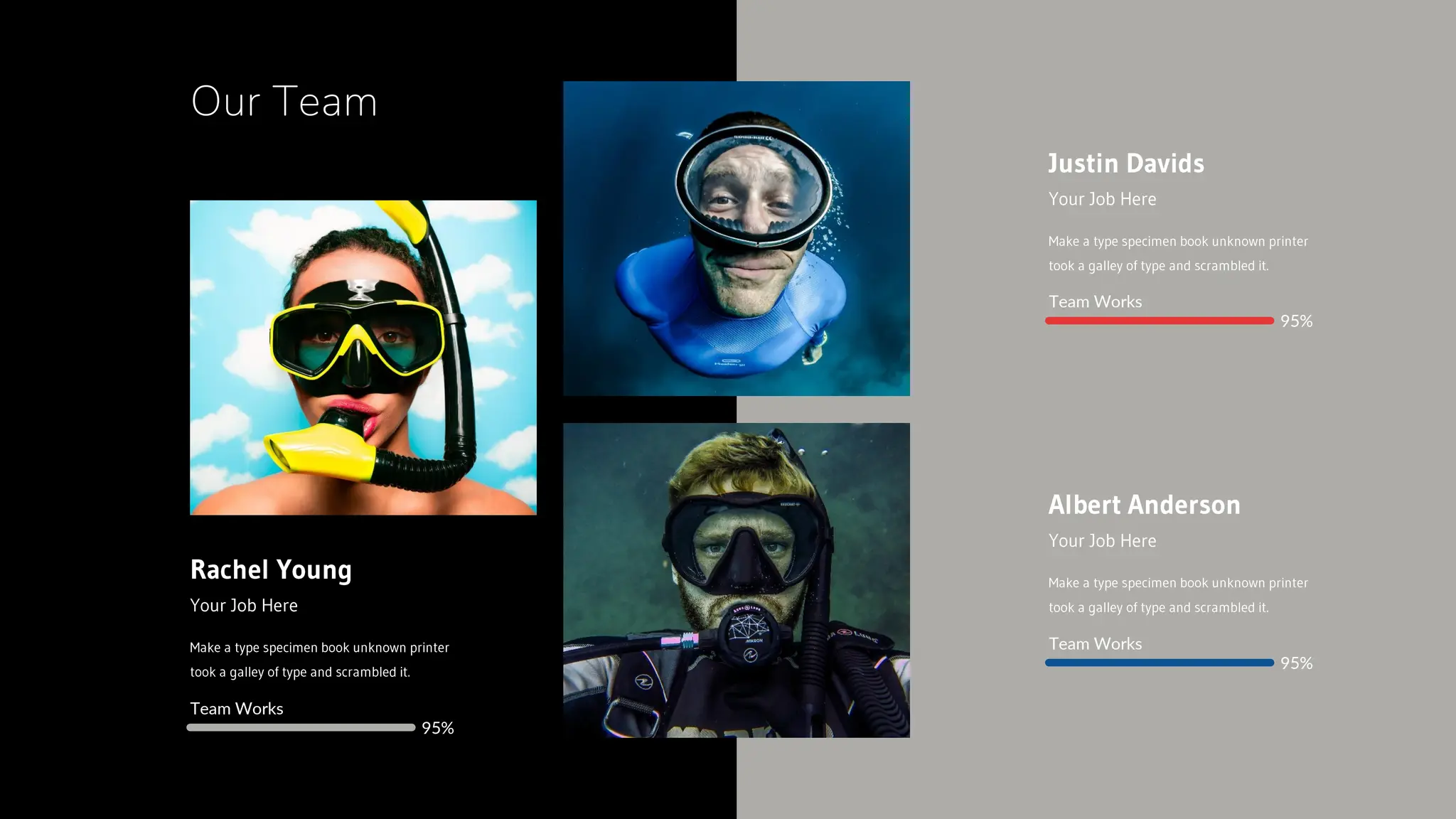 Our Team
Team Works
95%
Team Works
95%
Team Works
95%
 