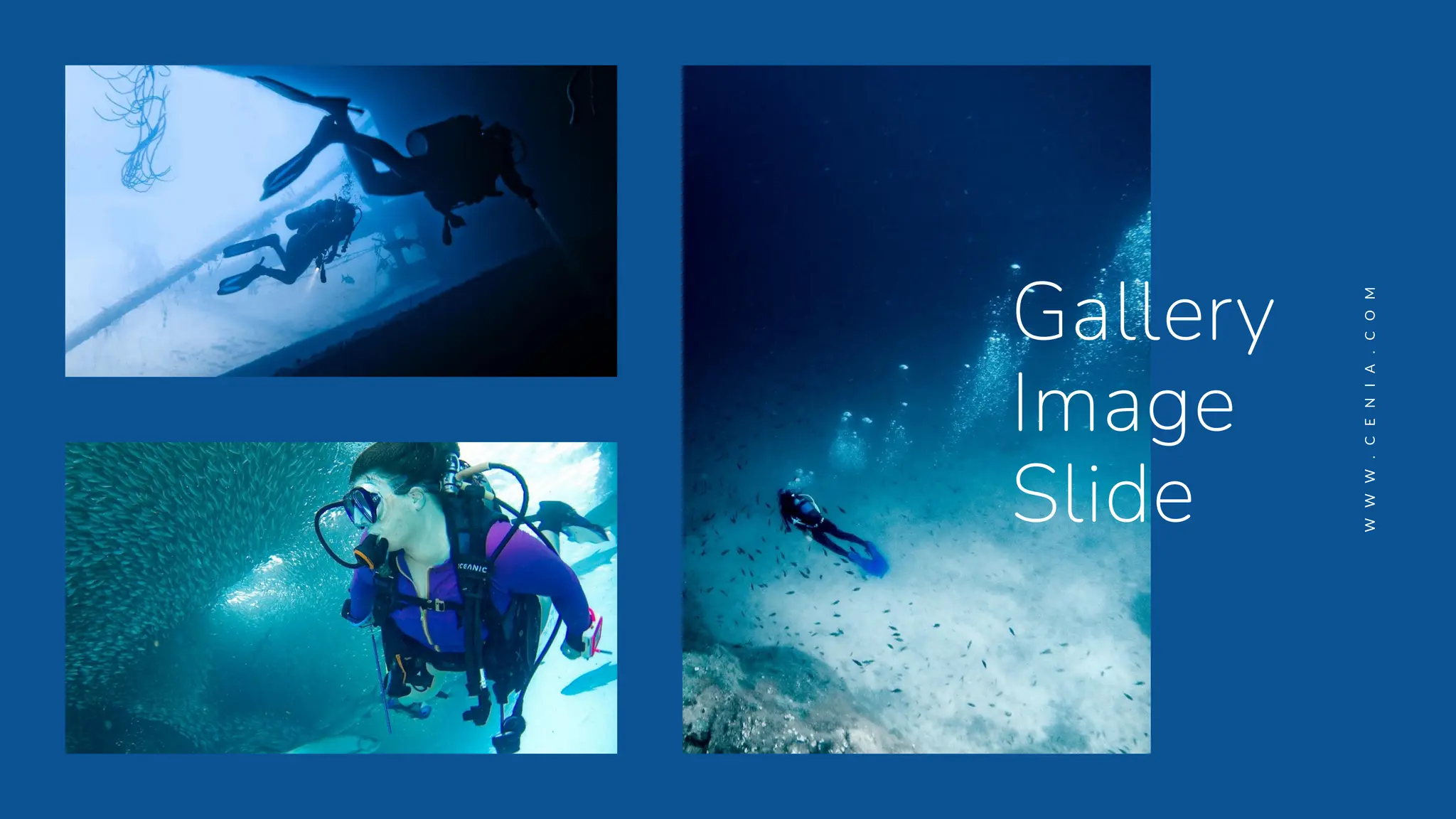 Gallery
Image
Slide
W
W
W
.
C
E
N
I
A
.
C
O
M
 