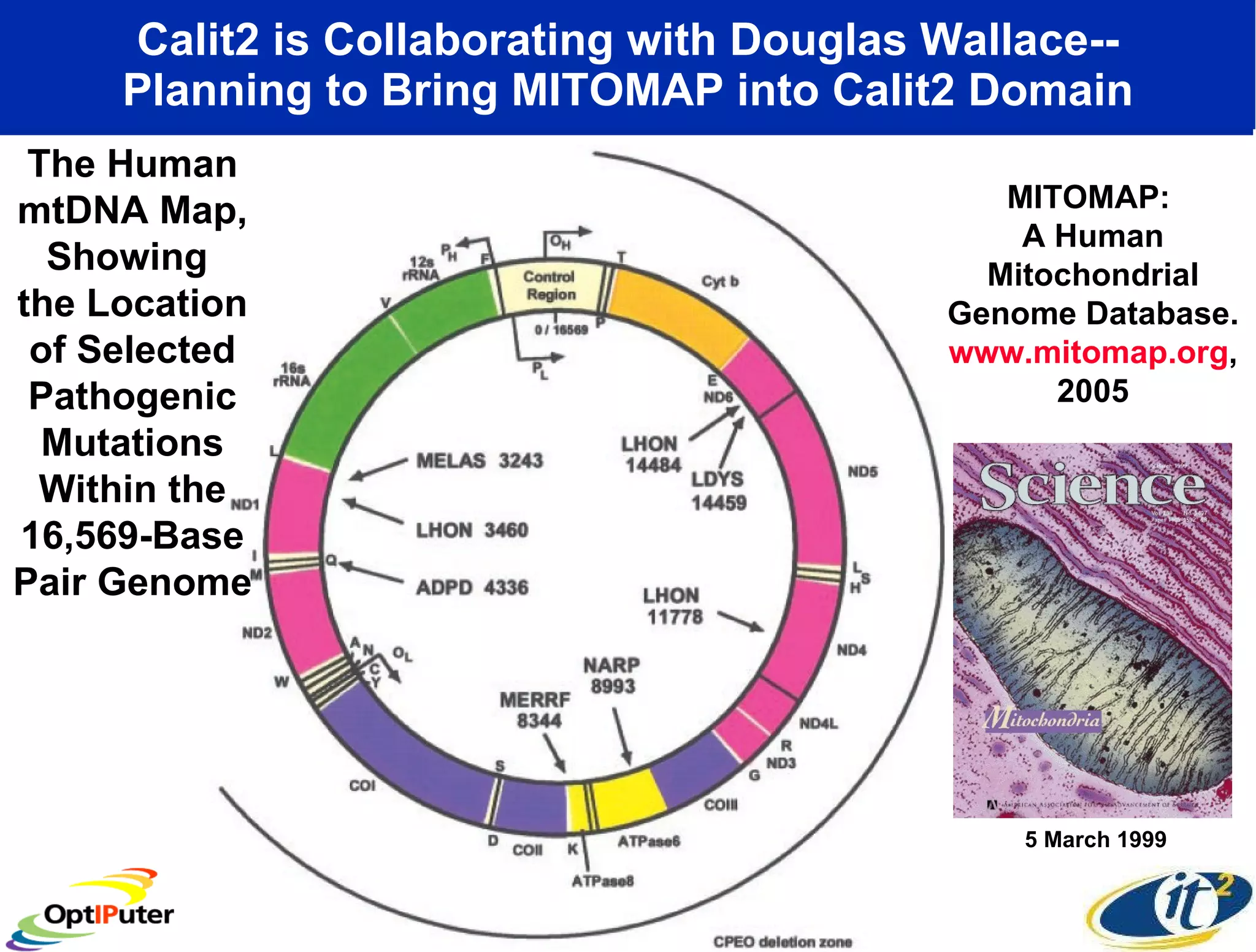 Calit2 is Collaborating with Douglas Wallace-- Planning to Bring MITOMAP into Calit2 Domain The Human mtDNA Map, Showing  the Location of Selected Pathogenic Mutations Within the 16,569-Base Pair Genome MITOMAP:  A Human Mitochondrial Genome Database.  www.mitomap.org , 2005 5 March 1999 
