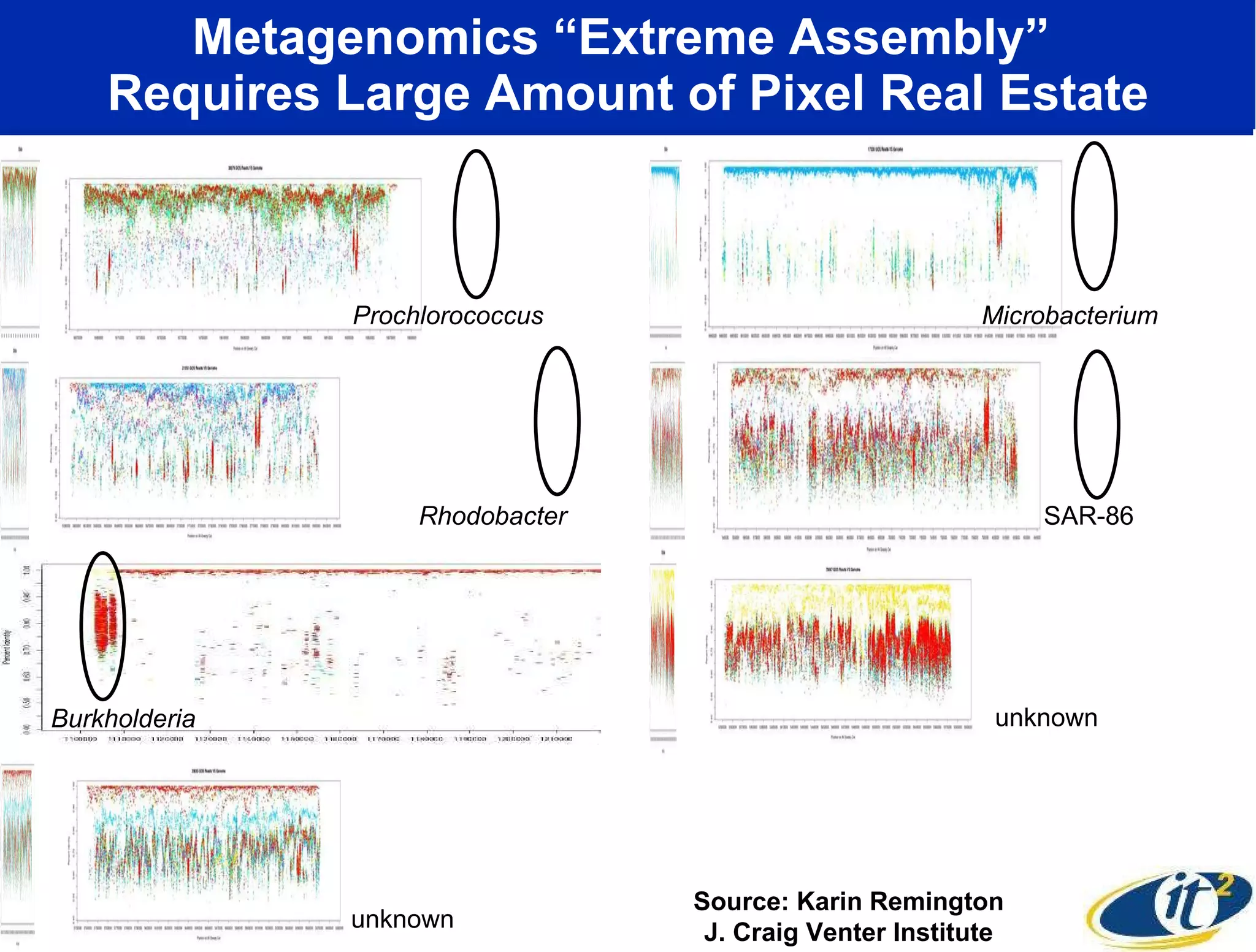 Metagenomics “Extreme Assembly”  Requires Large Amount of Pixel Real Estate Source: Karin Remington J. Craig Venter Institute Prochlorococcus Microbacterium Burkholderia Rhodobacter SAR-86 unknown unknown 