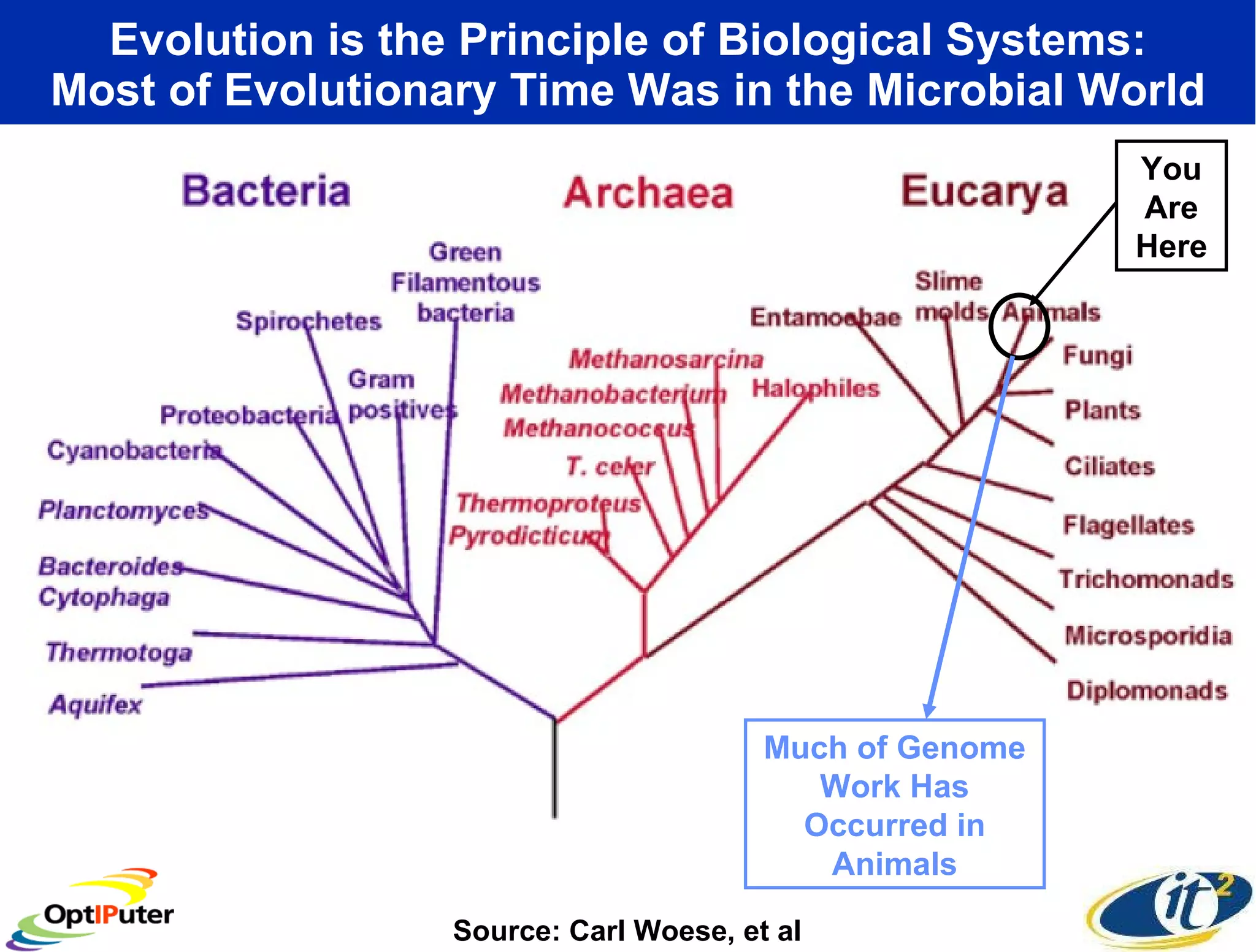 Evolution is the Principle of Biological Systems: Most of Evolutionary Time Was in the Microbial World Source: Carl Woese, et al You Are Here Much of Genome Work Has Occurred in Animals 