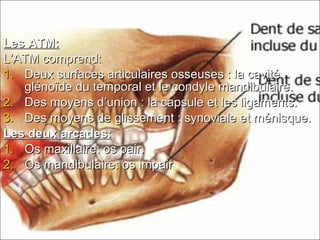 Les ATM:Les ATM:
L’ATM comprend:L’ATM comprend:
1.1. Deux surfaces articulaires osseuses : la cavitéDeux surfaces articulaires osseuses : la cavité
glénoïde du temporal et le condyle mandibulaire.glénoïde du temporal et le condyle mandibulaire.
2.2. Des moyens d’union : la capsule et les ligaments.Des moyens d’union : la capsule et les ligaments.
3.3. Des moyens de glissement : synoviale et ménisque.Des moyens de glissement : synoviale et ménisque.
Les deux arcades:Les deux arcades:
1.1. Os maxillaire: os pair.Os maxillaire: os pair.
2.2. Os mandibulaire: os impairOs mandibulaire: os impair
 