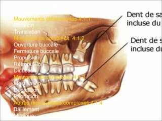 4.Etude fonctionnelle de la mandibule
4.1Les positions mandibulaires
4.1.1Mouvements élémentaires
Rotation
Translation
4.1.2Mouvements combinés
Ouverture buccale
Fermeture buccale
Propulsion
Rétropulsion
Diduction
4.1.3Mouvements complexes
Mastication
Déglutition
Phonation
4.1.4Autres mouvements complexes
Bâillement
Mimique
 