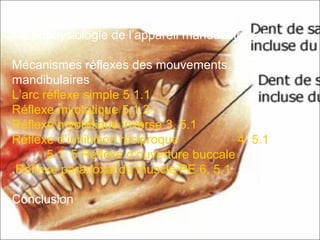 5.Neurophysiologie de l’appareil manducateur
5.1.Mécanismes réflexes des mouvements
mandibulaires
5.1.1L’arc réflexe simple
5.1.2Réflexe myotatique
5.1.3Réflexe myotatique inverse
5.1.4Réflexe d’inhibition réciproque
5.1. 5 Réflexe d’ouverture buccale
5.1.6Réflexe paradoxal du muscle PE.
Conclusion
 