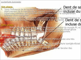 ouverture buccale:ouverture buccale:
1ére phase:1ére phase:
1.1. Sous l’influence de la contraction des muscles abaisseurs, se produit unSous l’influence de la contraction des muscles abaisseurs, se produit un
abaissement de la mandibule par rotation autour d’un axe reliant lesabaissement de la mandibule par rotation autour d’un axe reliant les
tubercules médiaux des condyles (axe charnière) dans le compartimenttubercules médiaux des condyles (axe charnière) dans le compartiment
inférieur disco-condylien.inférieur disco-condylien.
2.2. Le faisceau supérieur du muscle ptérygoïdien latéral et l’appareil tenseur seLe faisceau supérieur du muscle ptérygoïdien latéral et l’appareil tenseur se
relâchent, et le faisceau inférieur commence à se contracter.relâchent, et le faisceau inférieur commence à se contracter.
2ème phase:2ème phase:
Sous l’influence de la contraction du faisceau inférieur du muscle PL etSous l’influence de la contraction du faisceau inférieur du muscle PL et
la mise en tension du ligament latéral, le complexe condylo-discal glissela mise en tension du ligament latéral, le complexe condylo-discal glisse
vers l’avant le long du versant postérieur de l’éminence temporale.vers l’avant le long du versant postérieur de l’éminence temporale.
Dans ce mouvement se combine:Dans ce mouvement se combine:
 Une rotation condylienne dans le compartiment inférieur avec une trèsUne rotation condylienne dans le compartiment inférieur avec une très
légère translation par rapport au disque;légère translation par rapport au disque;
 Une translation dans le compartiment supérieur du complexe condylo-discalUne translation dans le compartiment supérieur du complexe condylo-discal
vers l’avant par rapport à l’éminence temporale.vers l’avant par rapport à l’éminence temporale.
Finalement, le mouvement d’ouverture s’arrête par mise en tension desFinalement, le mouvement d’ouverture s’arrête par mise en tension des
ligaments et des muscles antagonistes.ligaments et des muscles antagonistes.
 