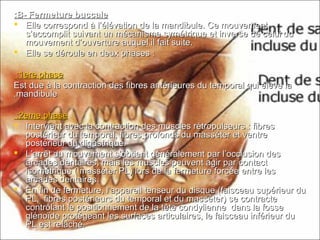B- Fermeture buccaleB- Fermeture buccale::
 Elle correspond à l’élévation de la mandibule. Ce mouvementElle correspond à l’élévation de la mandibule. Ce mouvement
s’accomplit suivant un mécanisme symétrique et inverse de celui dus’accomplit suivant un mécanisme symétrique et inverse de celui du
mouvement d’ouverture auquel il fait suite.mouvement d’ouverture auquel il fait suite.
 Elle se déroule en deux phases :Elle se déroule en deux phases :
1ere phase1ere phase::
Est due à la contraction des fibres antérieures du temporal qui élève laEst due à la contraction des fibres antérieures du temporal qui élève la
mandibulemandibule..
2eme phase2eme phase::
 Intervient avec la contraction des muscles rétropulseurs : fibresIntervient avec la contraction des muscles rétropulseurs : fibres
postérieur du temporal, fibrespostérieur du temporal, fibres profonds du masséter et ventreprofonds du masséter et ventre
postérieur du digastrique.postérieur du digastrique.
 L’arrêt du mouvement s’obtient généralement par l’occlusion desL’arrêt du mouvement s’obtient généralement par l’occlusion des
arcades dentaires, mais les muscles peuvent agir par contactarcades dentaires, mais les muscles peuvent agir par contact
isométrique ( masséter PL) lors de la fermeture forcée entre lesisométrique ( masséter PL) lors de la fermeture forcée entre les
arcades dentaires.arcades dentaires.
 En fin de fermeture, l’appareil tenseur du disque (faisceau supérieur duEn fin de fermeture, l’appareil tenseur du disque (faisceau supérieur du
PL, fibres postérieurs du temporal et du masséter) se contractePL, fibres postérieurs du temporal et du masséter) se contracte
contrôlant le positionnement de la tête condylienne dans la fossecontrôlant le positionnement de la tête condylienne dans la fosse
glénoïde protégeant les surfaces articulaires, le faisceau inférieur duglénoïde protégeant les surfaces articulaires, le faisceau inférieur du
PL est relâché.PL est relâché.
 