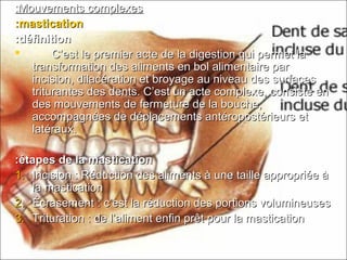 Mouvements complexesMouvements complexes::
masticationmastication::
définitiondéfinition::
 C’est le premier acte de la digestion qui permet laC’est le premier acte de la digestion qui permet la
transformation des aliments en bol alimentaire partransformation des aliments en bol alimentaire par
incision, dilacération et broyage au niveau des surfacesincision, dilacération et broyage au niveau des surfaces
triturantes des dents. C’est un acte complexe, consiste entriturantes des dents. C’est un acte complexe, consiste en
des mouvements de fermeture de la bouche,des mouvements de fermeture de la bouche,
accompagnées de déplacements antéropostérieurs etaccompagnées de déplacements antéropostérieurs et
latéraux.latéraux.
étapes de la masticationétapes de la mastication::
1.1. Incision : Réduction des aliments à une taille appropriée àIncision : Réduction des aliments à une taille appropriée à
la masticationla mastication
2.2. Écrasement : c’est la réduction des portions volumineusesÉcrasement : c’est la réduction des portions volumineuses
3.3. Trituration : de l’aliment enfin prêt pour la masticationTrituration : de l’aliment enfin prêt pour la mastication
 