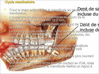 Cycle masticatoireCycle masticatoire::
 C’est le trajet exécuté par la mandibule au cours de laC’est le trajet exécuté par la mandibule au cours de la
mastication:mastication:
 L’ouverture moyenne des maxillaires au cours de laL’ouverture moyenne des maxillaires au cours de la
mastication des aliments est 18.2 mm;mastication des aliments est 18.2 mm;
 La durée moyenne du cycle masticatoire est de 1.046La durée moyenne du cycle masticatoire est de 1.046
secondes.secondes.
 La forme du cycle masticateur varie selon la consistance,La forme du cycle masticateur varie selon la consistance,
la forme du bol alimentaire, la nature de l’occlusion, lesla forme du bol alimentaire, la nature de l’occlusion, les
habitudes masticatoires et en fonction de l’age.habitudes masticatoires et en fonction de l’age.
 Il est composé de trois phases:Il est composé de trois phases:
1.1. une phase d’ouverture : abaissement de la mandibuleune phase d’ouverture : abaissement de la mandibule
avec déviation latérale, elle s’effectue vers le cotéavec déviation latérale, elle s’effectue vers le coté
travaillant ;travaillant ;
2.2. une phase de fermeture : dont le trajet est le plus souventune phase de fermeture : dont le trajet est le plus souvent
externe au trajet d’ouverture;externe au trajet d’ouverture;
3.3. une phase d’ICM : les dents sont en contact en ICM, chezune phase d’ICM : les dents sont en contact en ICM, chez
la majorité des individus, la mandibule réalise un repos àla majorité des individus, la mandibule réalise un repos à
ce niveauce niveau
 