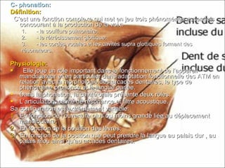 C- phonation:C- phonation:
Définition:Définition:
C’est une fonction complexe qui met en jeu trois phénomènes essentielsC’est une fonction complexe qui met en jeu trois phénomènes essentiels
concourant à la production de la voix:concourant à la production de la voix:
1.1. - la soufflure pulmonaire;- la soufflure pulmonaire;
2.2. - le rétrécissement glottique;- le rétrécissement glottique;
3.3. - les cordes vocales et les cavités supra glottiques formant des- les cordes vocales et les cavités supra glottiques formant des
résonateurs.résonateurs.
Physiologie:Physiologie:
 Elle joue un rôle important dans le fonctionnement de l’appareilElle joue un rôle important dans le fonctionnement de l’appareil
manducateur et en particulier dans adaptation fonctionnelle des ATM enmanducateur et en particulier dans adaptation fonctionnelle des ATM en
relation avec la morphologie des arcades dentaires, le type derelation avec la morphologie des arcades dentaires, le type de
phénomène prononcé et la langue parlée.phénomène prononcé et la langue parlée.
 Dans la phonation, la cavité orale présente deux rôles:Dans la phonation, la cavité orale présente deux rôles:
 L’articulation, cavité de résonance et filtre acoustique.L’articulation, cavité de résonance et filtre acoustique.
Sa configuration est extrêmement variable:Sa configuration est extrêmement variable:
1.1. En fonction de l’ouverture plus ou moins grande liée au déplacementEn fonction de l’ouverture plus ou moins grande liée au déplacement
mandibulaire;mandibulaire;
2.2. En fonction de la position des lèvres;En fonction de la position des lèvres;
3.3. En fonction de la position que peut prendre la langue au palais dur , auEn fonction de la position que peut prendre la langue au palais dur , au
palais mou ainsi qu’au arcades dentaires.palais mou ainsi qu’au arcades dentaires.
 