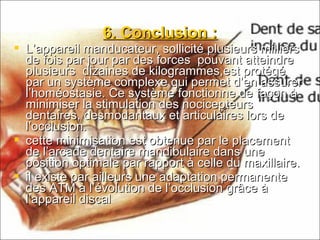 6. Conclusion :6. Conclusion :
 L’appareil manducateur, sollicité plusieurs milliersL’appareil manducateur, sollicité plusieurs milliers
de fois par jour par des forces pouvant atteindrede fois par jour par des forces pouvant atteindre
plusieurs dizaines de kilogrammes,est protégéplusieurs dizaines de kilogrammes,est protégé
par un système complexe qui permet d’en assurerpar un système complexe qui permet d’en assurer
l’homéostasie. Ce système fonctionne de façon àl’homéostasie. Ce système fonctionne de façon à
minimiser la stimulation des nocicepteursminimiser la stimulation des nocicepteurs
dentaires, desmodantaux et articulaires lors dedentaires, desmodantaux et articulaires lors de
l’occlusion.l’occlusion.
 cette minimisation est obtenue par le placementcette minimisation est obtenue par le placement
de l’arcade dentaire mandibulaire dans unede l’arcade dentaire mandibulaire dans une
position optimale par rapport à celle du maxillaire.position optimale par rapport à celle du maxillaire.
 il existe par ailleurs une adaptation permanenteil existe par ailleurs une adaptation permanente
des ATM à l’évolution de l’occlusion grâce àdes ATM à l’évolution de l’occlusion grâce à
l’appareil discall’appareil discal
 