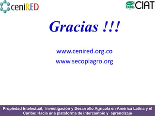 Módulo 1: Alianzas Público-Privadas y Transferencia de Tecnologías 