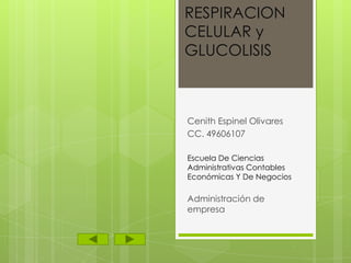 RESPIRACION
CELULAR y
GLUCOLISIS

Cenith Espinel Olivares
CC. 49606107
Escuela De Ciencias
Administrativas Contables
Económicas Y De Negocios

Administración de
empresa

 