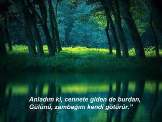 Anladım ki, cennete giden de burdan, Gülünü, zambağını kendi götürür.” 