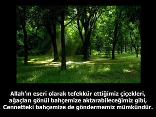 Allah’ın eseri olarak tefekkür ettiğimiz çiçekleri, ağaçları gönül bahçemize aktarabileceğimiz gibi, Cennetteki bahçemize de göndermemiz mümkündür. 